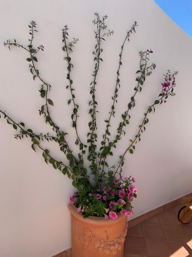 Villa Fortuna 포지타노 외부 사진